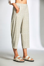 Load image into Gallery viewer, Peruzzi - Tech Print Slouch Pant (Sand)